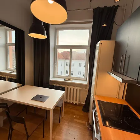 公寓 Tyzen39&38 Luxury 维尔纽斯